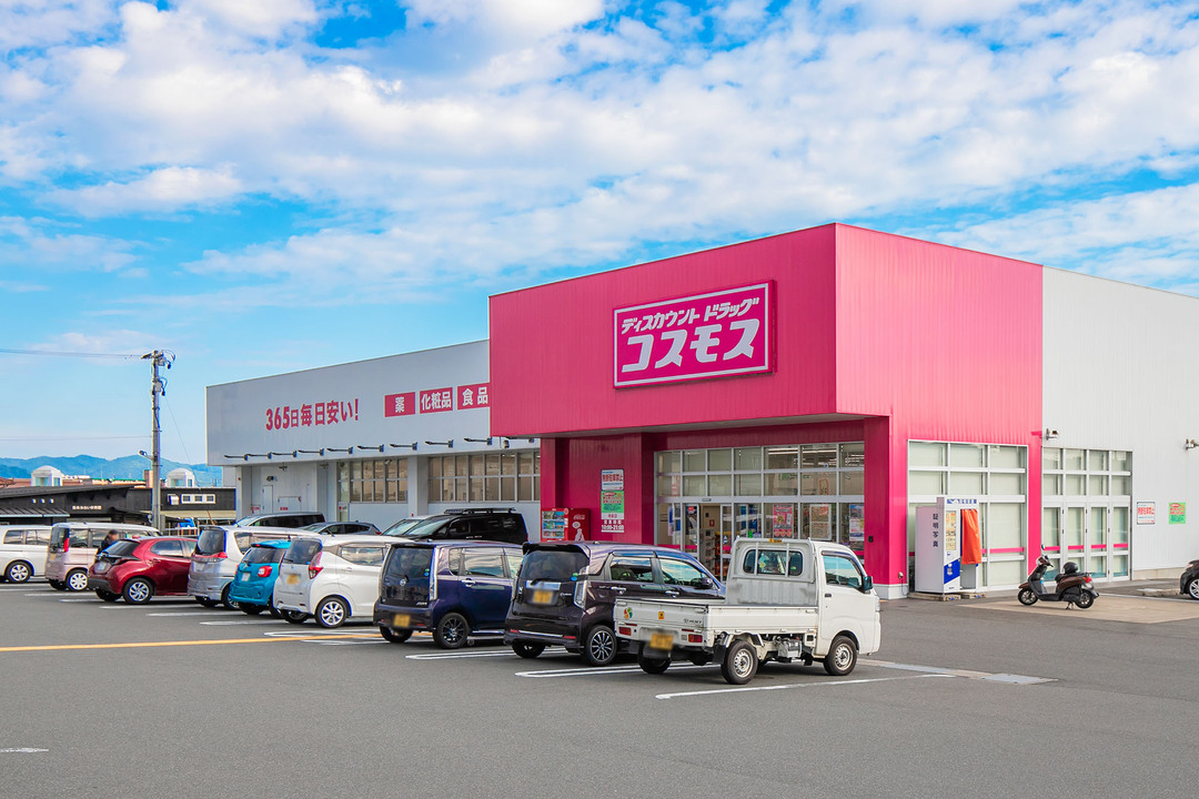 ディスカウントドラッグコスモス寺家店