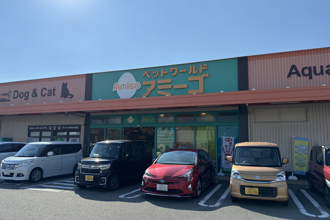 ペットワールド アミーゴ 姫路飾磨店