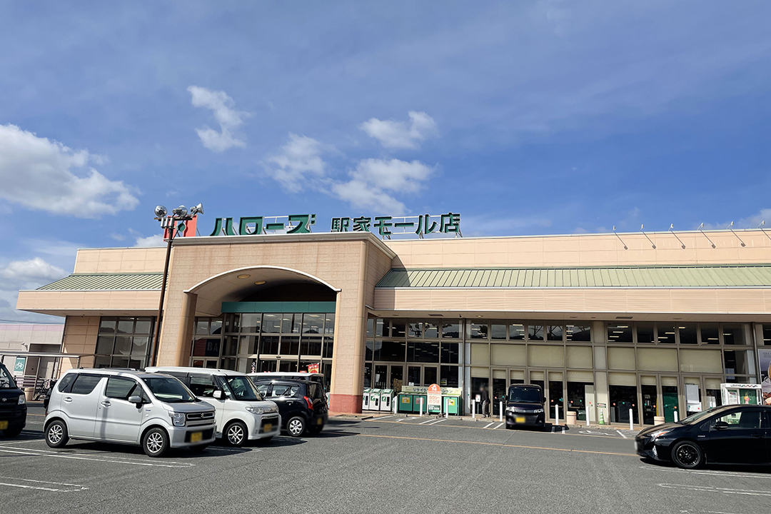 ハローズ駅家モール店